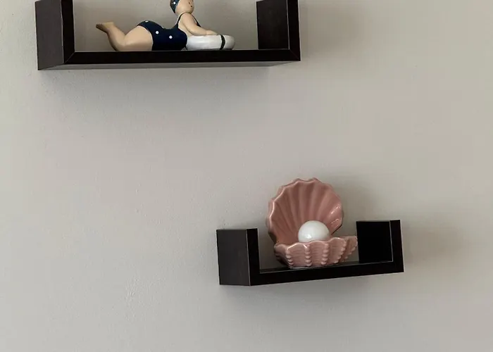 студиа осака * Солнечный берег